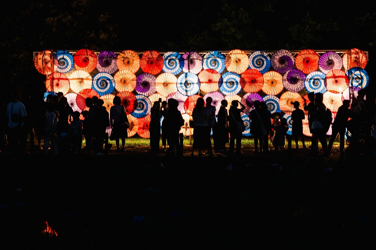 菖蒲まつり和傘のライトアップ