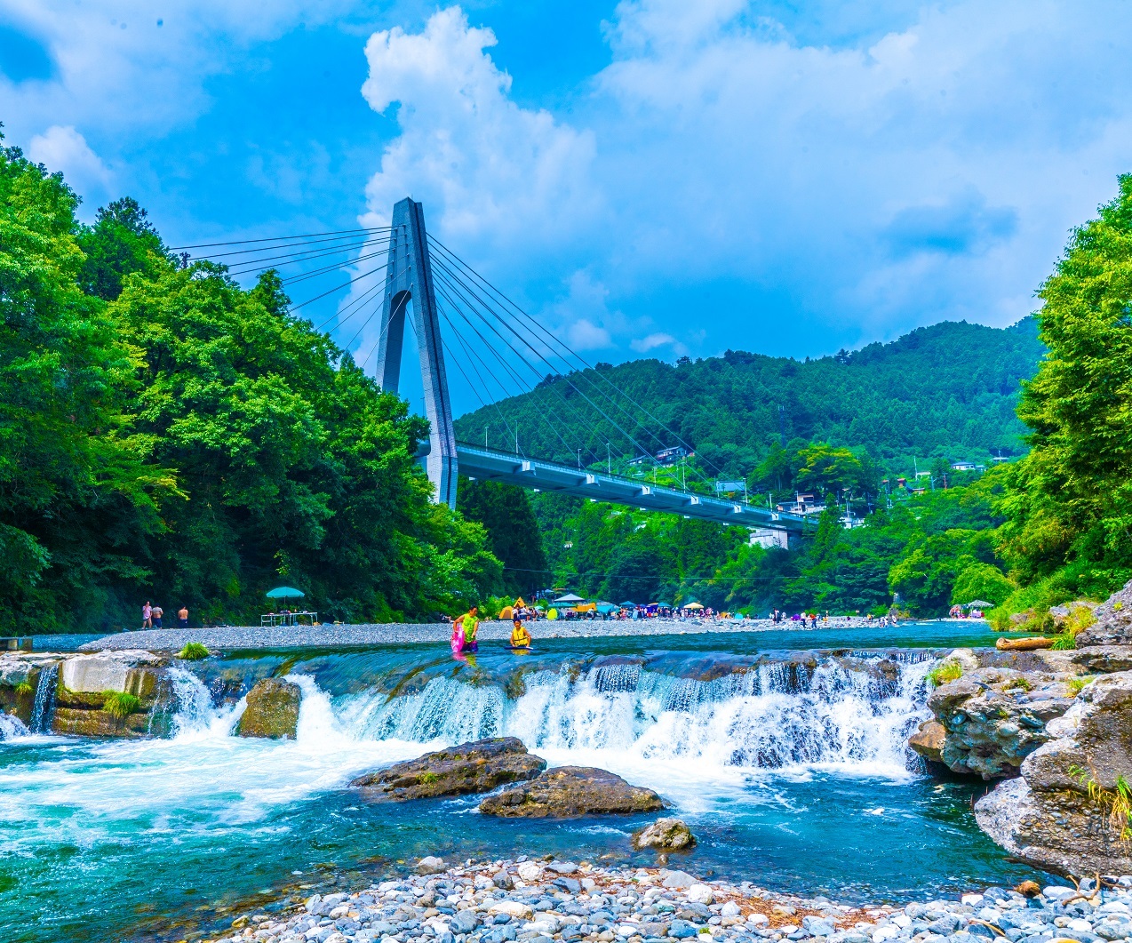 夏の大自然（奥多摩町）