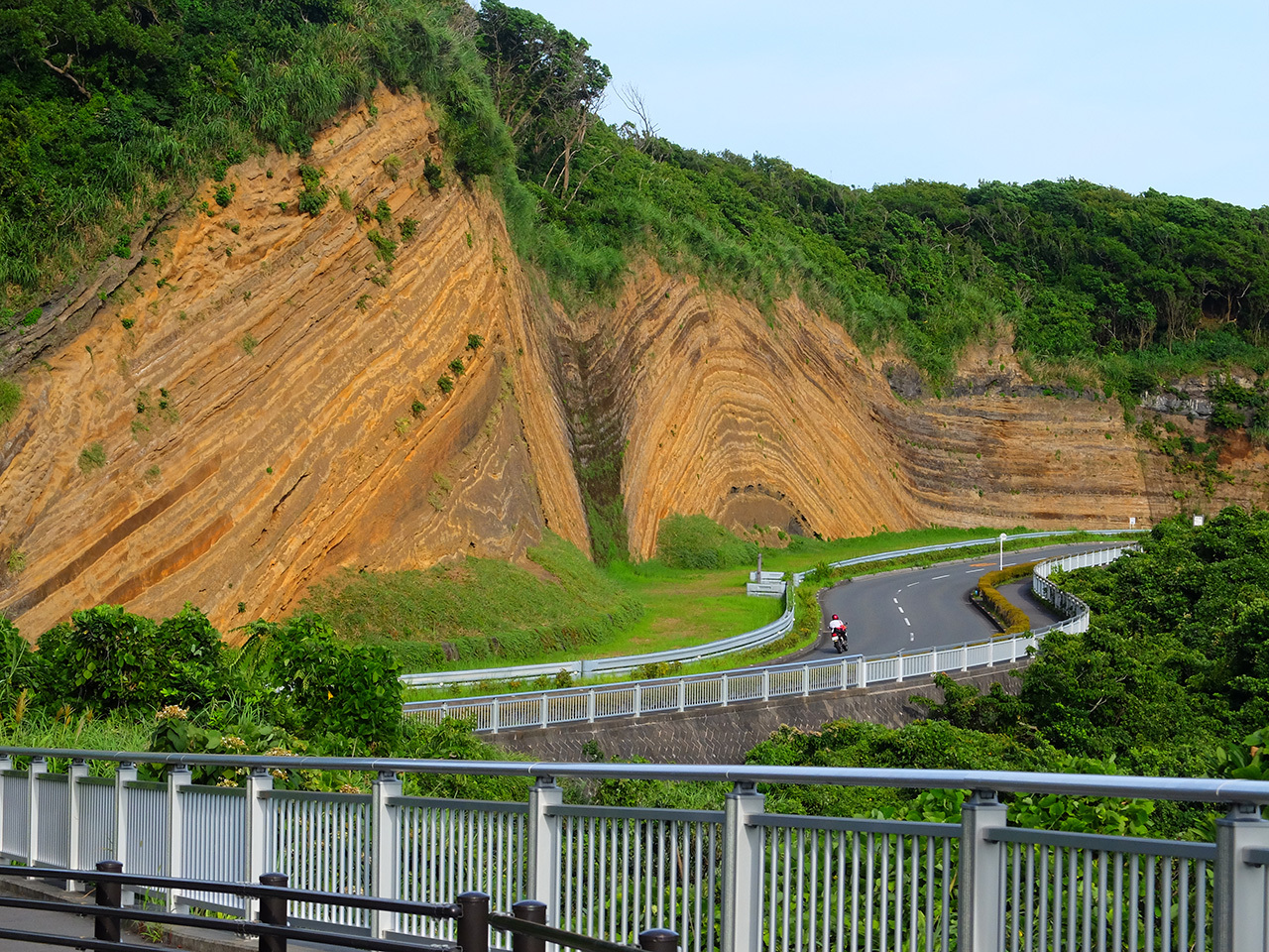 千波地層切断面