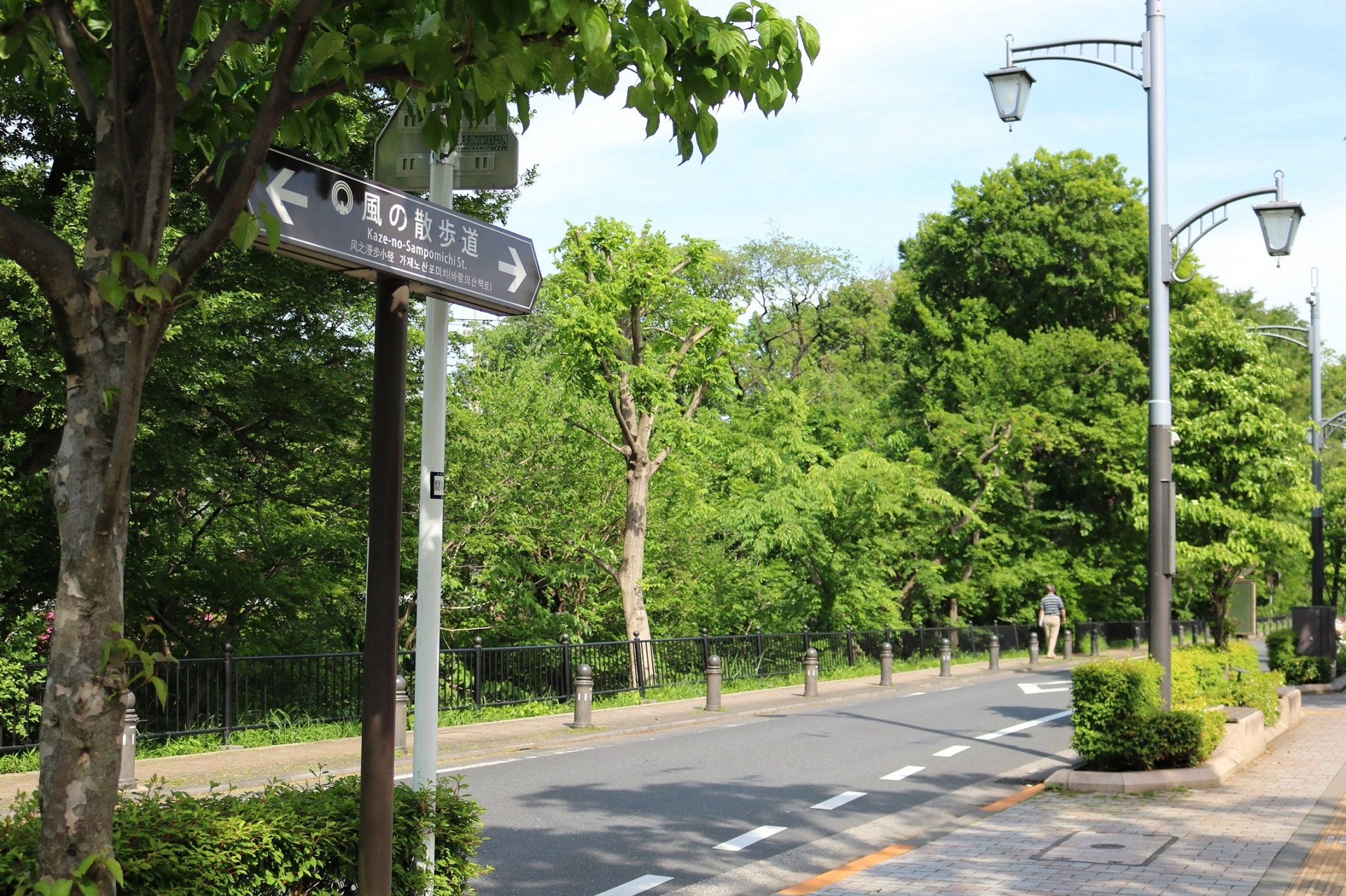 風の散歩道