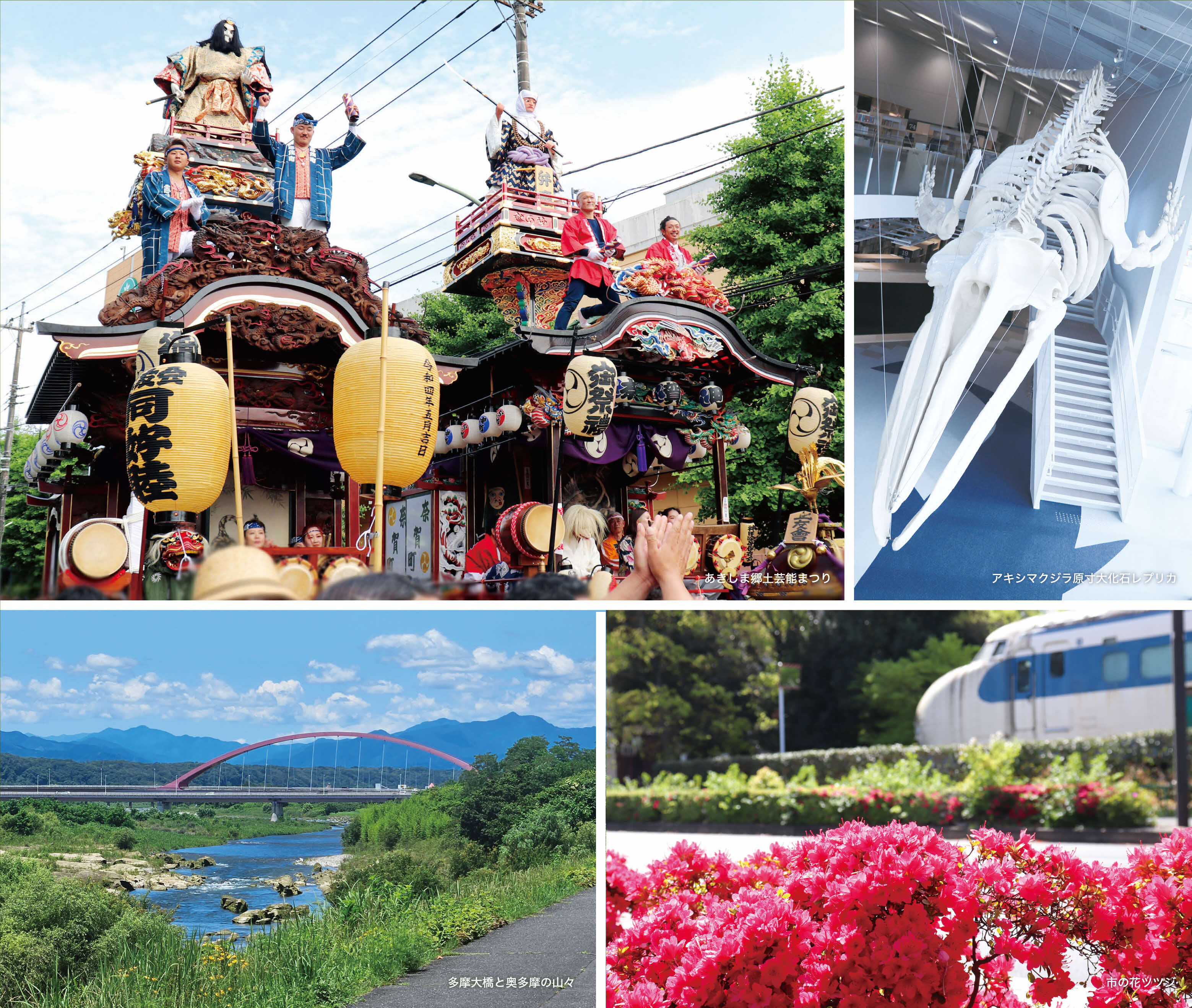 祭、クジラの骨、多摩大橋、ツツジ