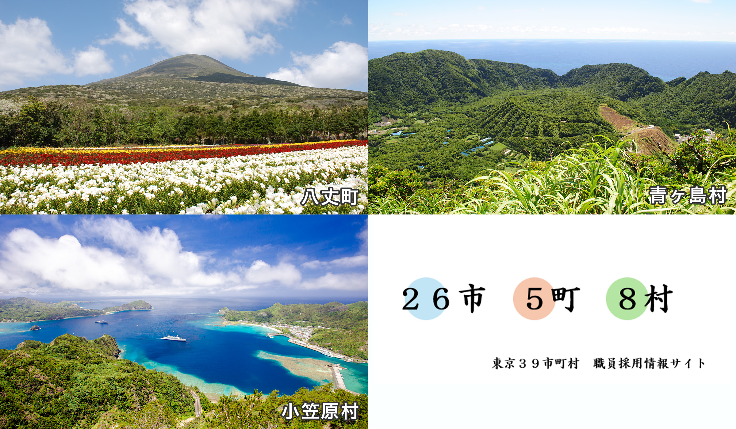八丈町、青ヶ島村、小笠原村、26市5町8村 東京39市町村職員採用情報サイト