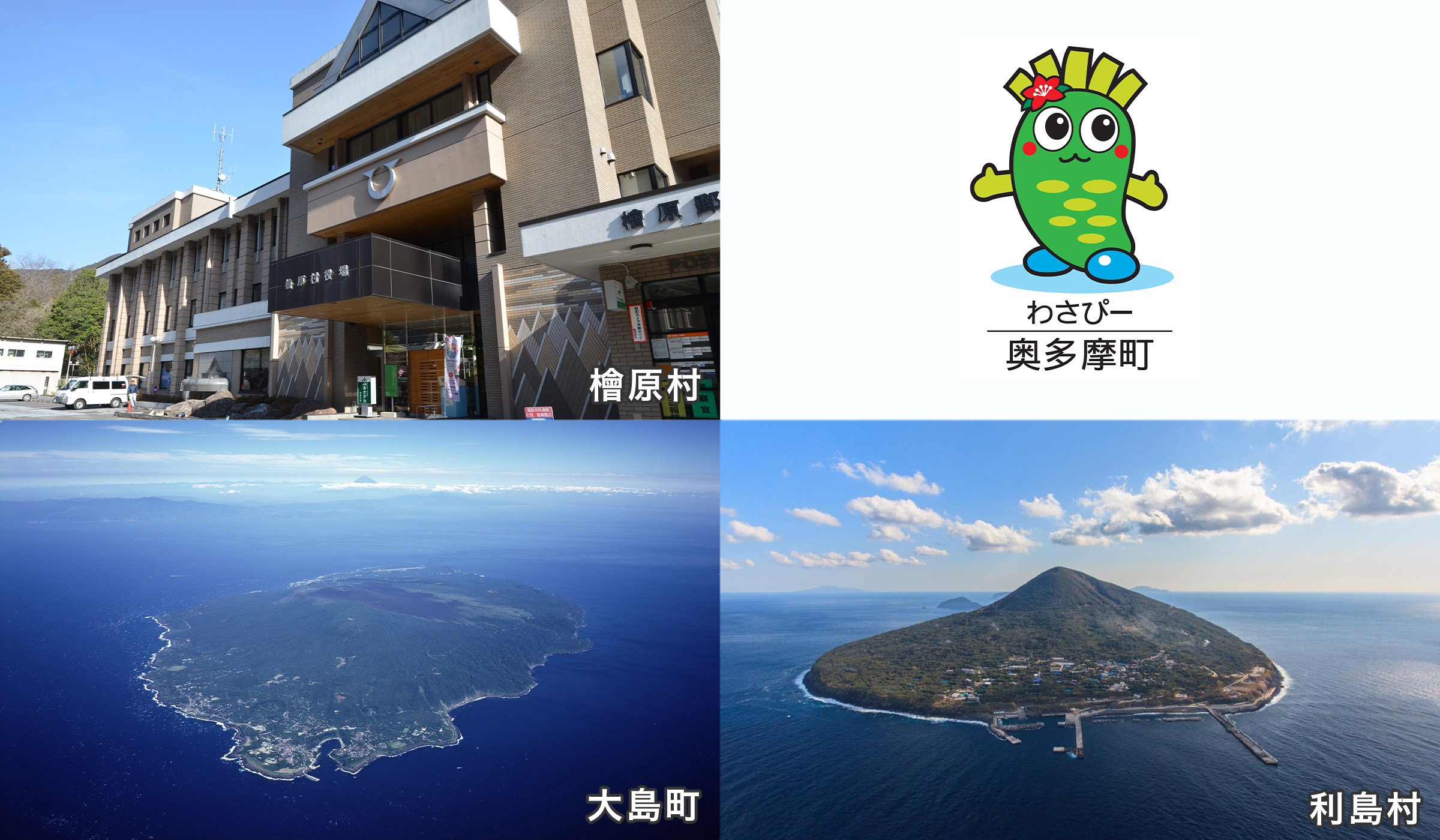 檜原村、奥多摩町、大島町、利島村
